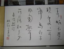 名称：林筱之&nbsp;手卷-9&nbsp;价格 &nbsp;点击查看详细信息
